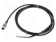 Connection lead; M12; PIN: 5; straight; 2m; plug; 4A; -30÷90°C; IP67 IPF ELECTRONIC