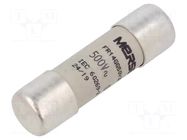 Fuse: fuse; 32A; 500VAC; gG; ceramic,cylindrical,industrial MERSEN