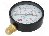 Manometer; 0÷16bar; non-aggressive liquids,inert gases; 100mm PNEUMAT