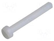 Screw; M5x40; 0.8; Head: cheese head; slotted; 1.3mm; polyamide DREMEC