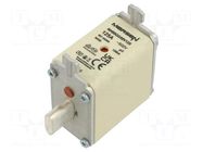Fuse: fuse; 125A; 500VAC; 250VDC; gG; ceramic,industrial; NH00 MERSEN