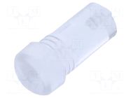 Fiber for LED; Ø3.2mm; L: 4.5mm; round; Front: flat; straight; IP68 MENTOR