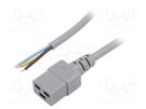 Cable; 3x1.5mm2; IEC C19 female,wires; PVC; Len: 5m; grey; 16A; 250V LIAN DUNG