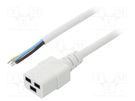 Cable; 3x1.5mm2; IEC C19 female,wires; PVC; Len: 5m; white; 16A LIAN DUNG