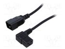 Cable; 3x1.5mm2; IEC C19 female angled,IEC C20 male; PVC; 0.5m LIAN DUNG