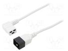 Cable; 3x1.5mm2; IEC C19 female angled,IEC C20 male; PVC; 1m LIAN DUNG