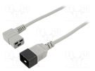 Cable; 3x1.5mm2; IEC C19 female angled,IEC C20 male; PVC; 3m LIAN DUNG