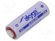 Battery: alkaline; 12V; 23A,8LR932; 48mAh; non-rechargeable AKYGA BATTERY