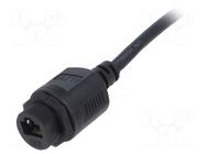 connector RCP-5SAFFM-SLM7B01 AMPHENOL LTW