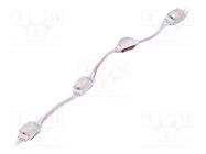 LED; white warm; 360mW; 3000K; 40lm; IP67; 170÷130°; No.of diodes: 1 POS