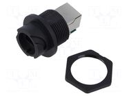 Transition: coupler; PIN: 8; IP67; straight; Type: ODVA; 8p8c; Cat: 5e AMPHENOL LTW