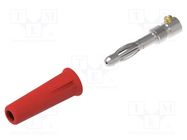 Plug; 4mm banana; 36A; 30VAC; 60VDC; red; non-insulated; on cable ELECTRO-PJP