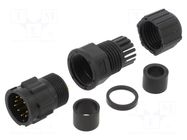 PIN: 10; male AMPHENOL LTW