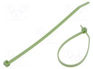 Cable tie; L: 142mm; W: 3.6mm; polypropylene; 80N; green; -60÷115°C PANDUIT