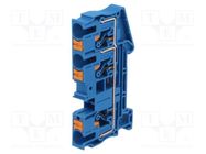 Splice terminal: rail; 0.5÷10mm2; ways: 1; terminals: 3; blue; PT PHOENIX CONTACT