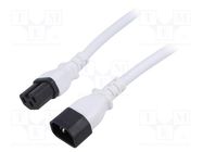 Cable; 3x14AWG; IEC C14 male,IEC C15 female; PVC; 3m; white; 15A LIAN DUNG