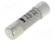 Fuse: fuse; gG; 40A; 500VAC; ceramic,cylindrical,industrial MERSEN