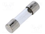 Fuse: fuse; quick blow; 0.75A; 250VAC; cylindrical,glass; 5.2x20mm SCHURTER