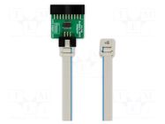 Adapter: extension module; 6pin 0,05",JTAG 20pin; Kit: adapter SEGGER MICROCONTROLLER