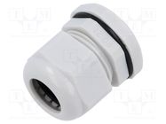 Cable gland; PG21; polyamide; light grey KRADEX