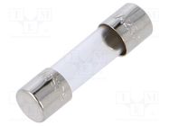 Fuse: fuse; quick blow; 1A; 250VAC; cylindrical,glass; 5x20mm; GMA EATON/BUSSMANN