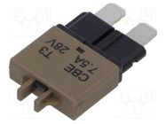 Fuse: fuse; 7.5A; 28VDC; automotive; 20.5mm ESKA