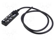 Distribution box; M8; PIN: 3; 1m; socket; 3A; IP67; IN: 6; OUT: 1 AMPHENOL LTW
