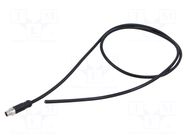 PIN: 3; male AMPHENOL LTW