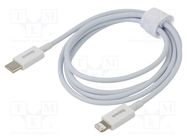 Cable; Apple Lightning plug,USB C plug; 1m; white; 20W BASEUS