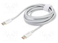 Cable; USB C plug,both sides; 2m; white; 100W BASEUS