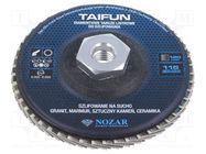 Flap grinding wheels; 115mm; Granularity: 120; TAIFUN NOZAR DIAMANTWERKZEUGE