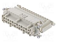 Connector: HDC; contact insert; female; Han E® AV; PIN: 24; 24+PE 