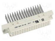 DIN-Signal 2C048FS-13,0C1-2 