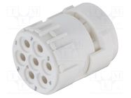 Connector: M23; contact insert; PIN: 7; female; crimped; 300V; 20A 