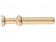 Contact; male; copper alloy; gold-plated; 2.5mm2; 14AWG; crimped HARTING