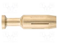 Contact; female; copper alloy; gold-plated; 2.5mm2; 14AWG; crimped HARTING