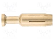 Contact; female; copper alloy; gold-plated; 10mm2; 8AWG; crimped HARTING
