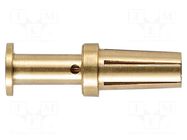 Han-Yellock F-c 0.37mm² (Au) HARTING