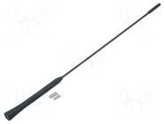 Antenna mast; 0.41m; M5,M6; inside; AM,FM; rubber mast 4CARMEDIA