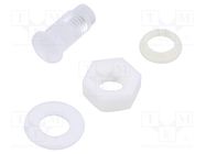 Fiber for LED; round; Ø5mm; Front: convex; IP67 BIVAR