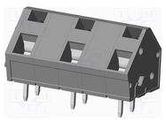 PCB terminal block; angled 45°; 10mm; ways: 3; on PCBs; terminal AMPHENOL ANYTEK