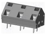 PCB terminal block; angled 45°; 10.16mm; ways: 3; on PCBs; tinned AMPHENOL ANYTEK