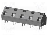 PCB terminal block; angled 45°; 10mm; ways: 5; on PCBs; terminal AMPHENOL ANYTEK