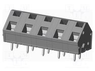 PCB terminal block; angled 45°; 7.62mm; ways: 5; on PCBs; terminal AMPHENOL ANYTEK