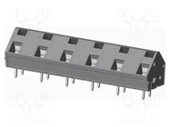 PCB terminal block; angled 45°; 10mm; ways: 6; on PCBs; terminal AMPHENOL ANYTEK