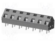 PCB terminal block; angled 45°; 7.62mm; ways: 7; on PCBs; terminal AMPHENOL ANYTEK