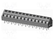 PCB terminal block; angled 45°; 5.08mm; ways: 13; on PCBs; tinned AMPHENOL ANYTEK