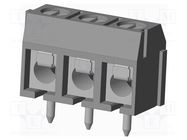 PCB terminal block; on PCBs; THT,screw terminal; terminal; TC AMPHENOL ANYTEK