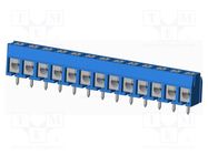 PCB terminal block; on PCBs; THT,screw terminal; terminal; TC AMPHENOL ANYTEK