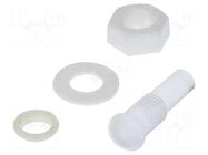 Fiber for LED; Ø5mm; L: 12.7mm; round; Front: convex; IP67 BIVAR